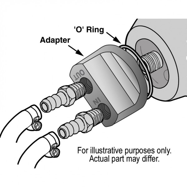 15703-Illustration-collection.jpg
