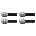 Valve Cover Studs (Set 4) with Chrome Acorn Nuts Chevrolet Ford Holden