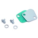 Fuel Pump Block Off Chrome Holden 6 Big Block Chevrolet with Bolts + Gasket