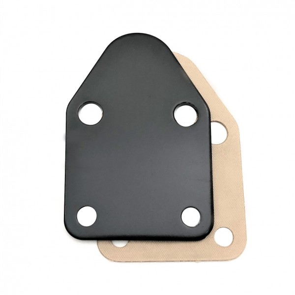Fuel Pump Block Off Plate Small Block Chev Black
