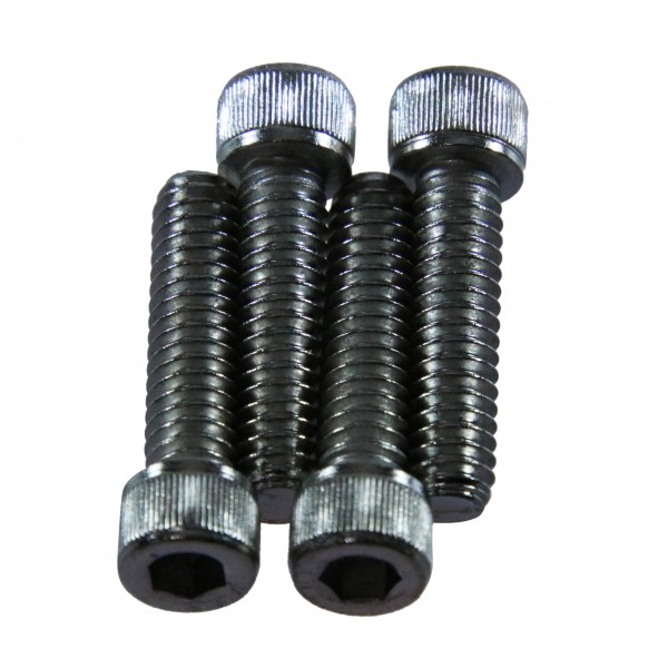 Bolt Set 1/4-20" x 1" Long Chrome Socket Head Set 4