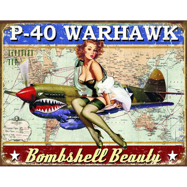 P-40 Warhawk Metal Sign Reproduction 41cm x 32cm