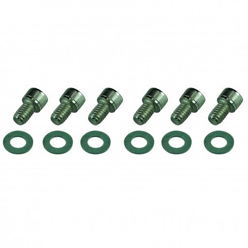 [6776] Side Plate Bolts Holden 6 Chrome Socket Head with Washers-Set