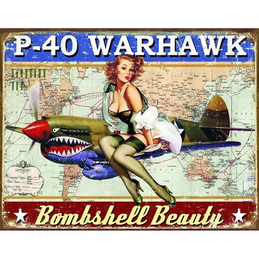 [MSI2460] P-40 Warhawk Metal Sign Reproduction 41cm x 32cm